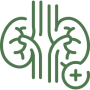 Chronic Kidney Disease 